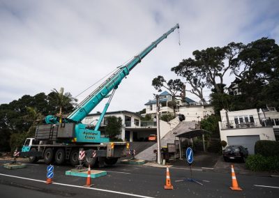 Tree Removal Specialists with Specialised Crane Auckland.