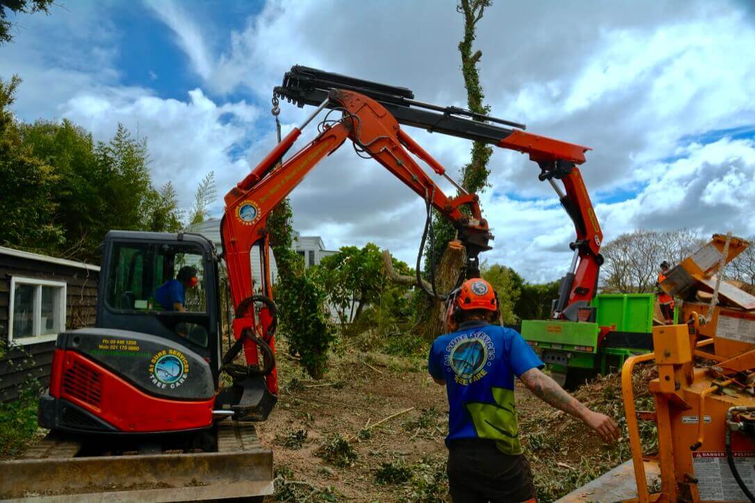 An Introduction to Land Clearing A1 Sure Services