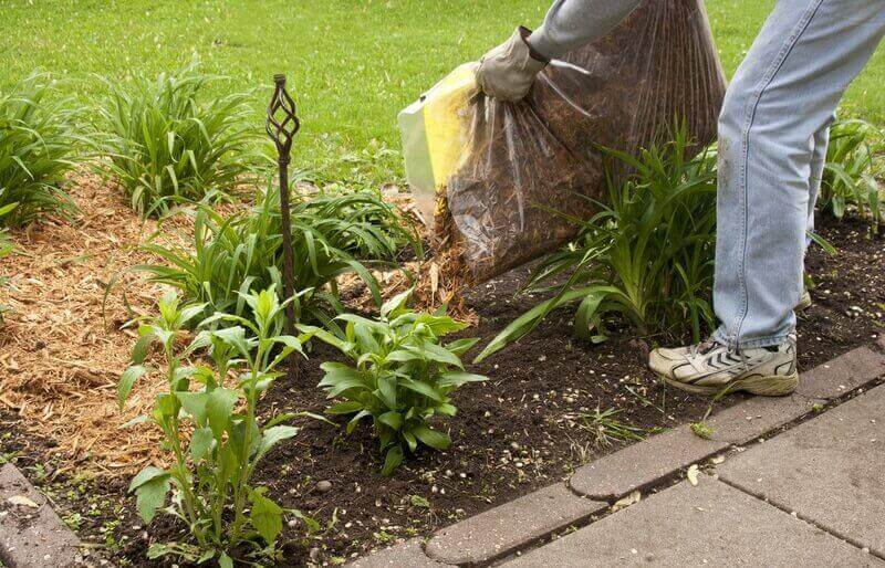 Proper mulching techniques