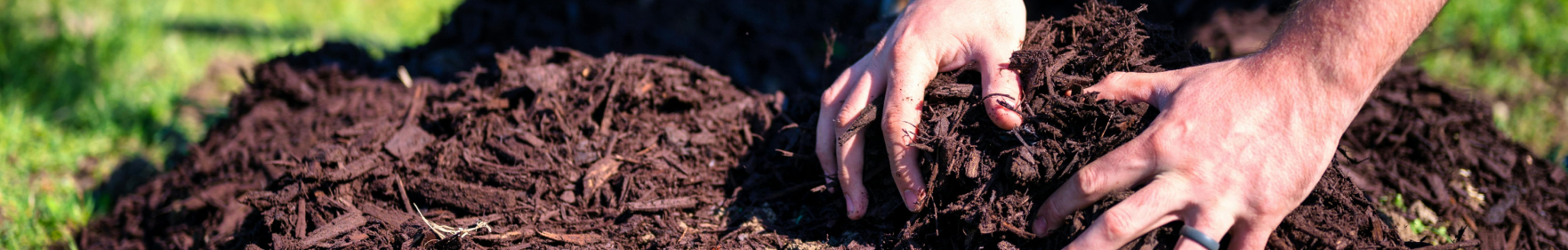 Mulch