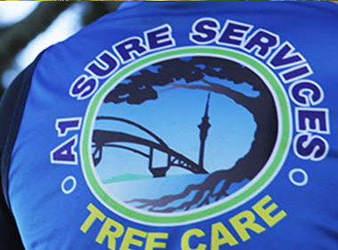 offers-and-deals offers-and-deals