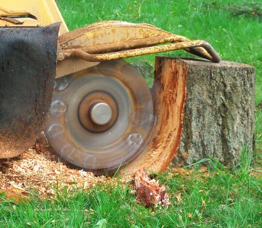 STUMP GRINDING & STUMP REMOVAL AUCKLAND